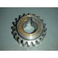 Camwheat Pinion